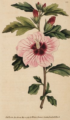Lot 123 - Curtis (William). The Botanical Magazine..., 6 volumes (bound in 3), 1790 - 93