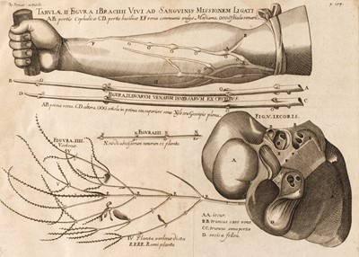 Lot 262 - Fabrici (Girolamo). Opera Omnia Anatomica & Physiologica, 1687