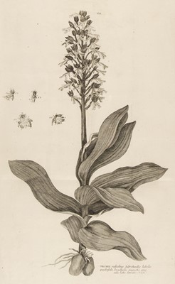 Lot 125 - Haller (Albrecht von). Icones Plantarum Helvetiae, 1795