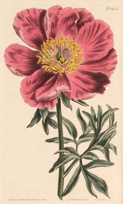 Lot 78 - Curtis (W. & S.). Curtis's Botanical Magazine, Volumes 35, 36, 40 & 56 (bound in 3), 1812 - 29