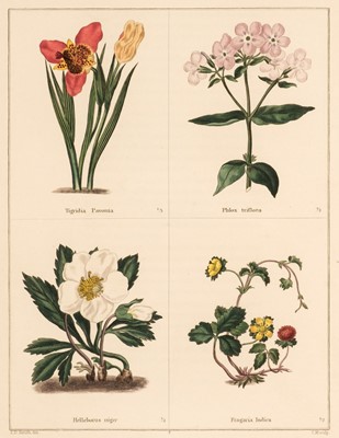 Lot 93 - Maund (Benjamin). The Botanic Garden..., 5 Volumes (of 6), 1825 - 36