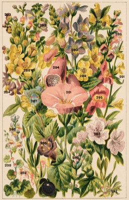 Lot 168 - Botany. A Collection of approximately 165 prints, late 19th & early 20th century