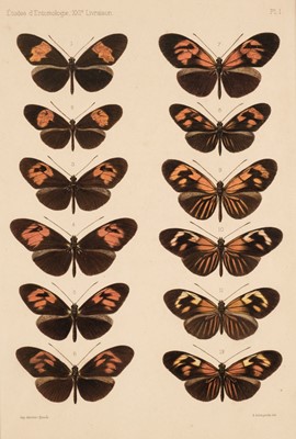 Lot 182 - Natural History. A Collection of approximately 120 prints, late 19th & early 20th century