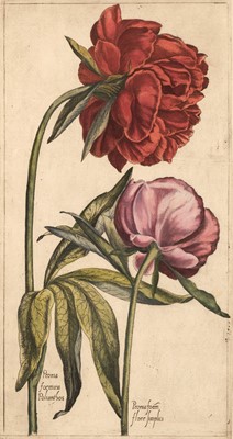Lot 101 - Vallet (Pierre). Le jardin du roy tres chrestien Henry IV, [Paris]: Pierre Vallet, 1608