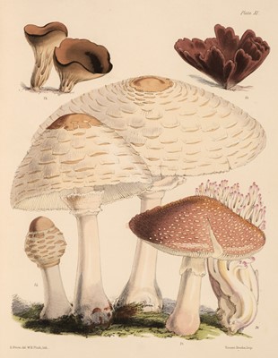 Lot 96 - Price (Sarah).Illustrations of the Fungi of Our Fields and Woods, 2 volumes, 1864-5