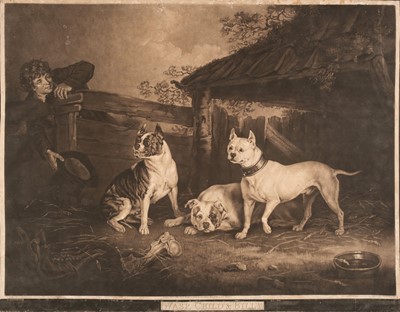 Lot 205 - Ward (William). Wasp, Child & Billy, publihsed by Randon & Sneath, 1809
