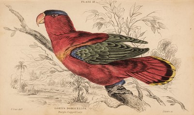 Lot 99 - Selby (P. J.). The Naturalist's Library, Ornithology, Parrots, volume 10 only