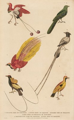 Lot 91 - Martyn (William Frederic). A New Dictionary of Natural History..., 1785