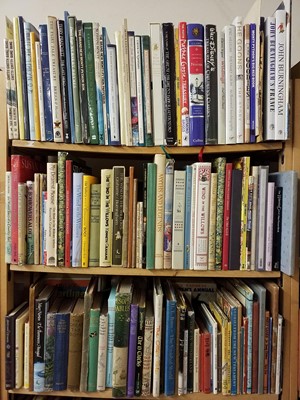 Lot 371 - Juvenile Literature. A large collection of modern juvenile & illustrated literature