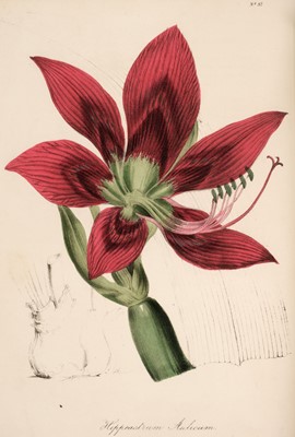 Lot 89 - Knowles (G. B.) The Floral Cabinet, 3 volumes, 1837-40