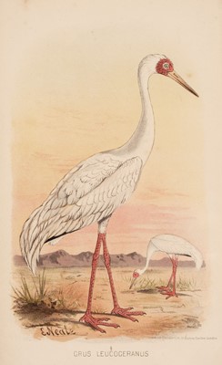 Lot 88 - Hume (A. O & C. H. T. Marshall). Game Birds of India... 3 volumes 1879-81