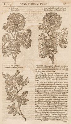 Lot 85 - Gerard (John). [The Herball or Generall Historie of Plantes..., 3rd ed., 1636]