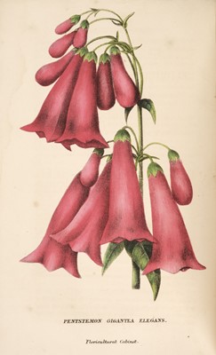 Lot 86 - Harrison (Joseph). The Floricultural Cabinet and Florists's Magazine..., 1846-1848..., and others