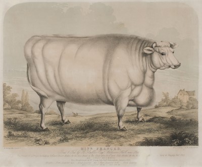 Lot 159 - Billing (M.). Miss Frances. Bred & Fed by H. Ambler Esqr...., 1854