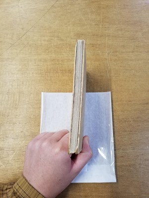 Lot 53 - Potter (Beatrix). The Tale of Mrs Tittlemouse, 1st edition, 1910, inscribed by author