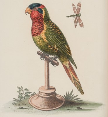 Lot 50 - Edwards (George). A Natural History of Uncommon Birds..., volumes 3 & 4 (only) 1750-51