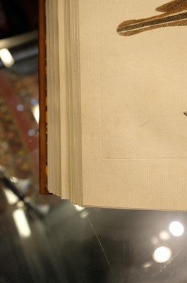 Lot 50 - Edwards (George). A Natural History of Uncommon Birds..., volumes 3 & 4 (only) 1750-51