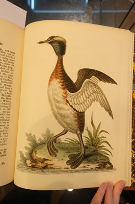 Lot 50 - Edwards (George). A Natural History of Uncommon Birds..., volumes 3 & 4 (only) 1750-51