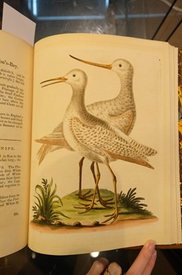 Lot 50 - Edwards (George). A Natural History of Uncommon Birds..., volumes 3 & 4 (only) 1750-51