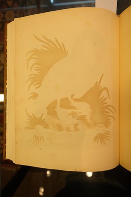 Lot 50 - Edwards (George). A Natural History of Uncommon Birds..., volumes 3 & 4 (only) 1750-51