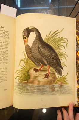 Lot 50 - Edwards (George). A Natural History of Uncommon Birds..., volumes 3 & 4 (only) 1750-51