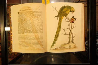 Lot 50 - Edwards (George). A Natural History of Uncommon Birds..., volumes 3 & 4 (only) 1750-51