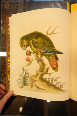 Lot 50 - Edwards (George). A Natural History of Uncommon Birds..., volumes 3 & 4 (only) 1750-51