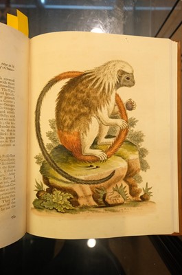 Lot 50 - Edwards (George). A Natural History of Uncommon Birds..., volumes 3 & 4 (only) 1750-51
