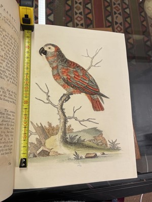 Lot 50 - Edwards (George). A Natural History of Uncommon Birds..., volumes 3 & 4 (only) 1750-51