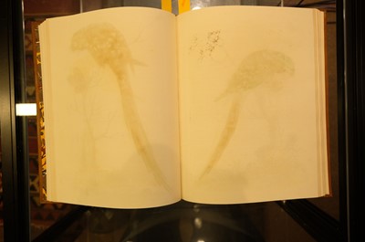 Lot 50 - Edwards (George). A Natural History of Uncommon Birds..., volumes 3 & 4 (only) 1750-51