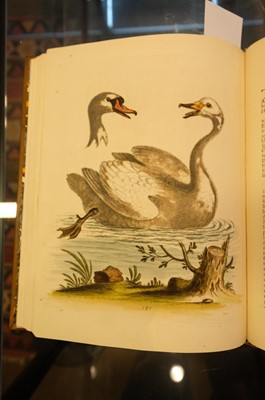 Lot 50 - Edwards (George). A Natural History of Uncommon Birds..., volumes 3 & 4 (only) 1750-51
