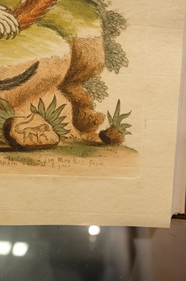 Lot 50 - Edwards (George). A Natural History of Uncommon Birds..., volumes 3 & 4 (only) 1750-51