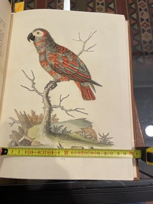 Lot 50 - Edwards (George). A Natural History of Uncommon Birds..., volumes 3 & 4 (only) 1750-51