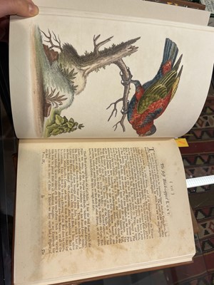 Lot 50 - Edwards (George). A Natural History of Uncommon Birds..., volumes 3 & 4 (only) 1750-51