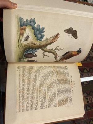 Lot 50 - Edwards (George). A Natural History of Uncommon Birds..., volumes 3 & 4 (only) 1750-51