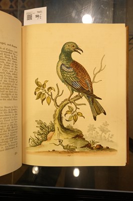 Lot 50 - Edwards (George). A Natural History of Uncommon Birds..., volumes 3 & 4 (only) 1750-51