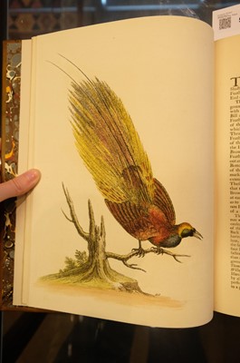 Lot 50 - Edwards (George). A Natural History of Uncommon Birds..., volumes 3 & 4 (only) 1750-51