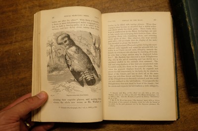 Lot 47 - Darwin (Charles). The Descent of Man, 2 volumes, 1st edition, 1st issue, London: John Murray, 1871