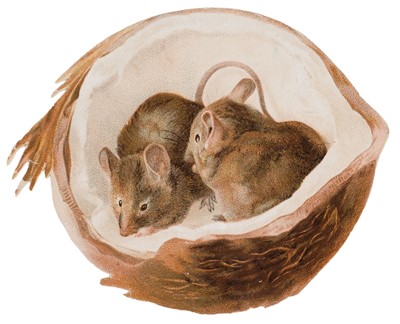 Lot 93 - Potter (Beatrix). Christmas card of two mice inside a coconut, 1890