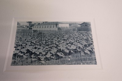 Lot 30 - China. A collection of 45 photographs of China by Wilbur T. Gracy, c. 1903