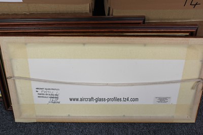 Lot 4 - Aircraft glass profiles. 16 side aircraft profile paintings by Steven Foster