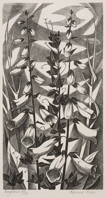 Lot 650 - Poole (Monica, 1921-2003). Foxgloves, wood engraving