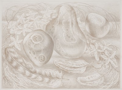 Lot 289 - Tanner (Robin, 1904-1988). Still Life