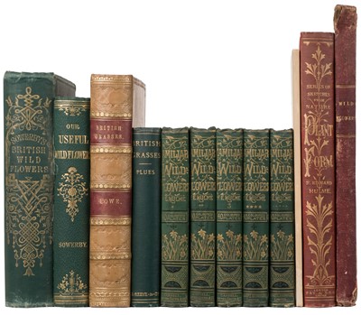 Lot 101 - Sowerby (John E.) British Wild Flowers, 1890