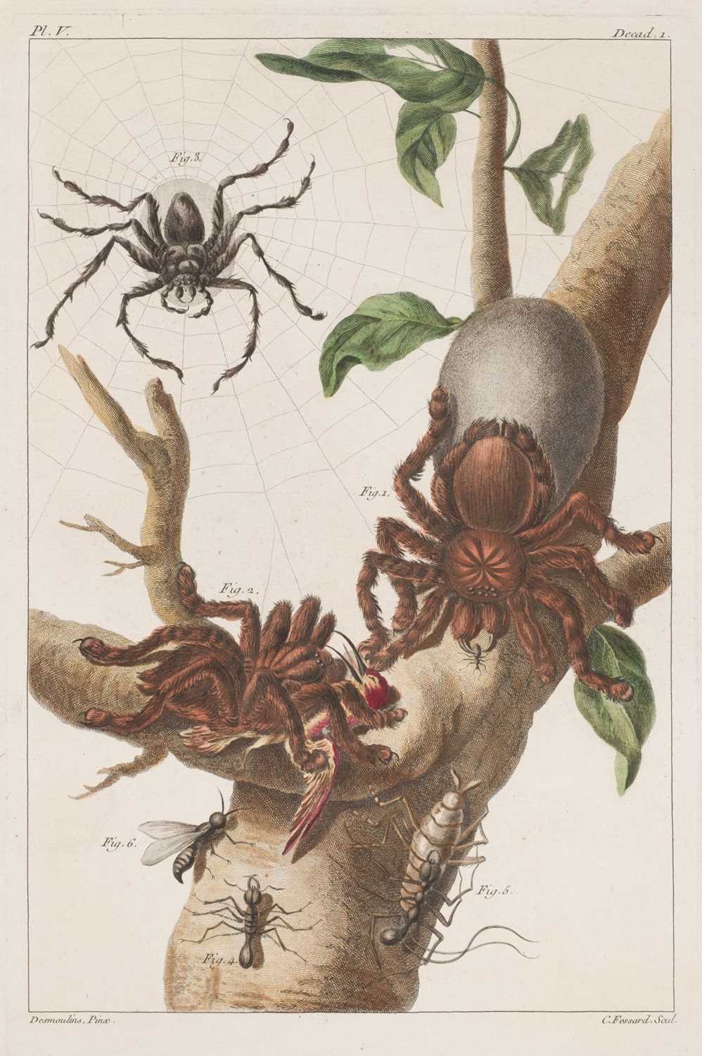 Lot 86 - Buc'hoz (Pierre-Joseph). Premiere [seconde] Centurie des Plances Enluminees, 2 volumes, 1775-81
