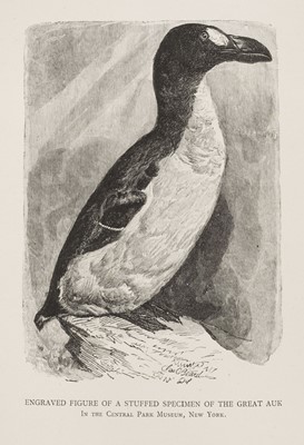 Lot 114 - Grieve (Symington). The Great Auk, or Garefowl, Its History, Archeology..., 1885..., and others