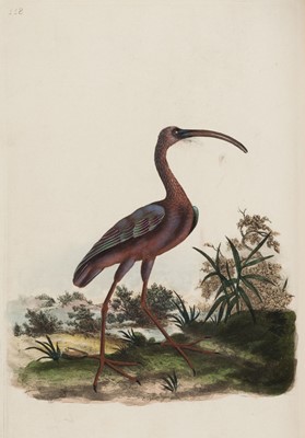 Lot 42 - Donovan (Edward). The Natural History of British Birds, 5 volumes, 1799
