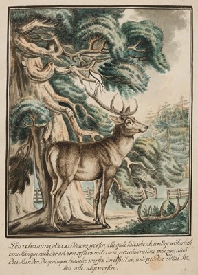 Lot 88 - Wintter (Joseph Georg, 1751-1789), 9 watercolours of Red Deer