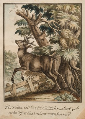 Lot 126 - Wintter (Joseph Georg, 1751-1789), 9 watercolours of Red Deer