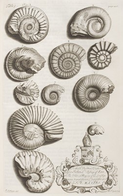 Lot 67 - Morton (John). The Natural History of Northampton-shire, 1st edition, 1712